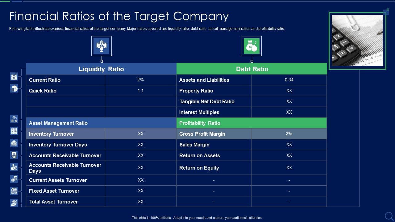 Audit_Checklist_For_Mergers_And_Acquisitions_Financial_Ratios_Of_The_Target_Company_Mockup_PDF_Slide_1.jpg