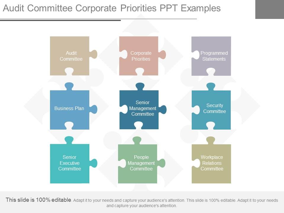 Audit_Committee_Corporate_Priorities_Ppt_Examples_1.jpg
