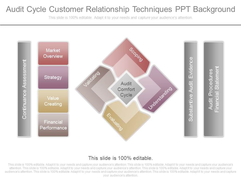 Audit_Cycle_Customer_Relationship_Techniques_Ppt_Background_1.jpg