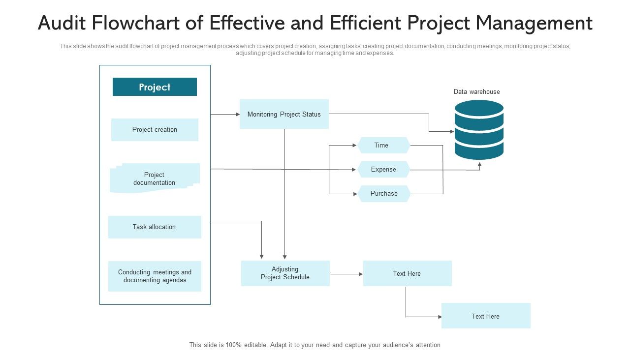 Audit_Flowchart_Of_Effective_And_Efficient_Project_Management_Ppt_PowerPoint_Presentation_File_Demonstration_PDF_Slide_1.jpg