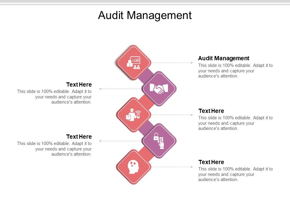 Audit_Management_Ppt_PowerPoint_Presentation_Slides_Layouts_Cpb_Pdf_Slide_1.jpg