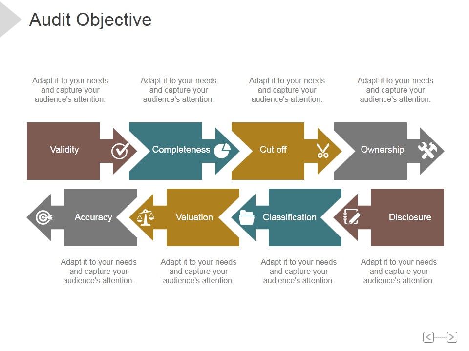 Audit_Objective_Ppt_PowerPoint_Presentation_Gallery_Slide_1.jpg