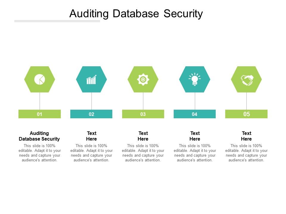 Auditing_Database_Security_Ppt_PowerPoint_Presentation_Portfolio_Vector_Cpb_Pdf_Slide_1.jpg