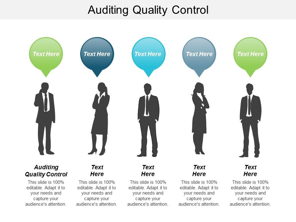 Auditing_Quality_Control_Ppt_PowerPoint_Presentation_Model_Example_Introduction_Cpb_Slide_1.jpg
