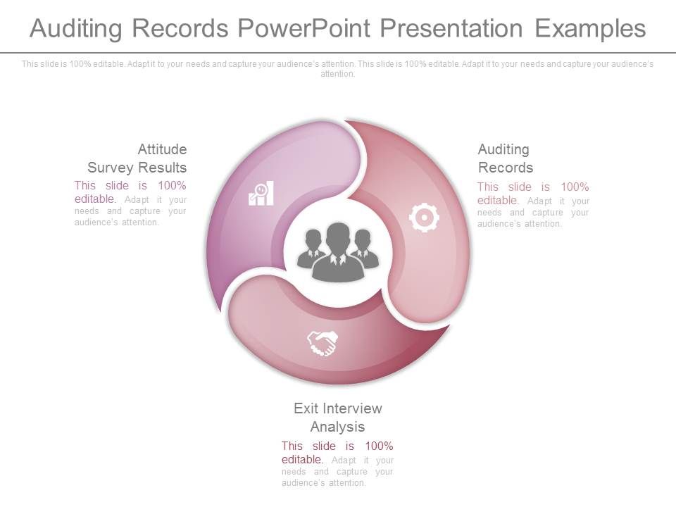 Auditing_Records_Powerpoint_Presentation_Examples_1.jpg