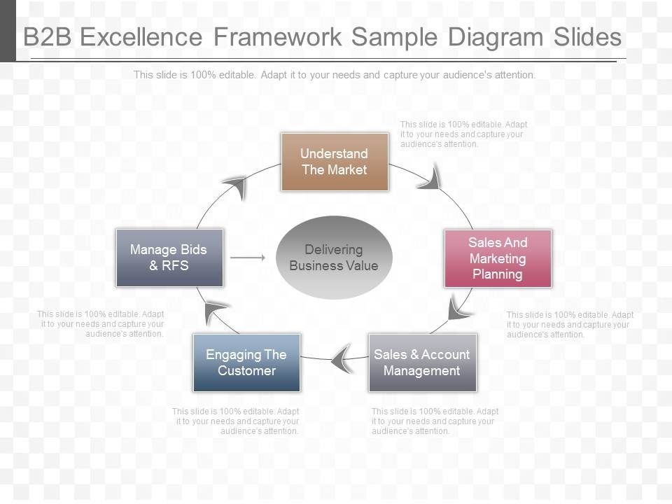 B2B_Excellence_Framework_Sample_Diagram_Slides_1.jpg