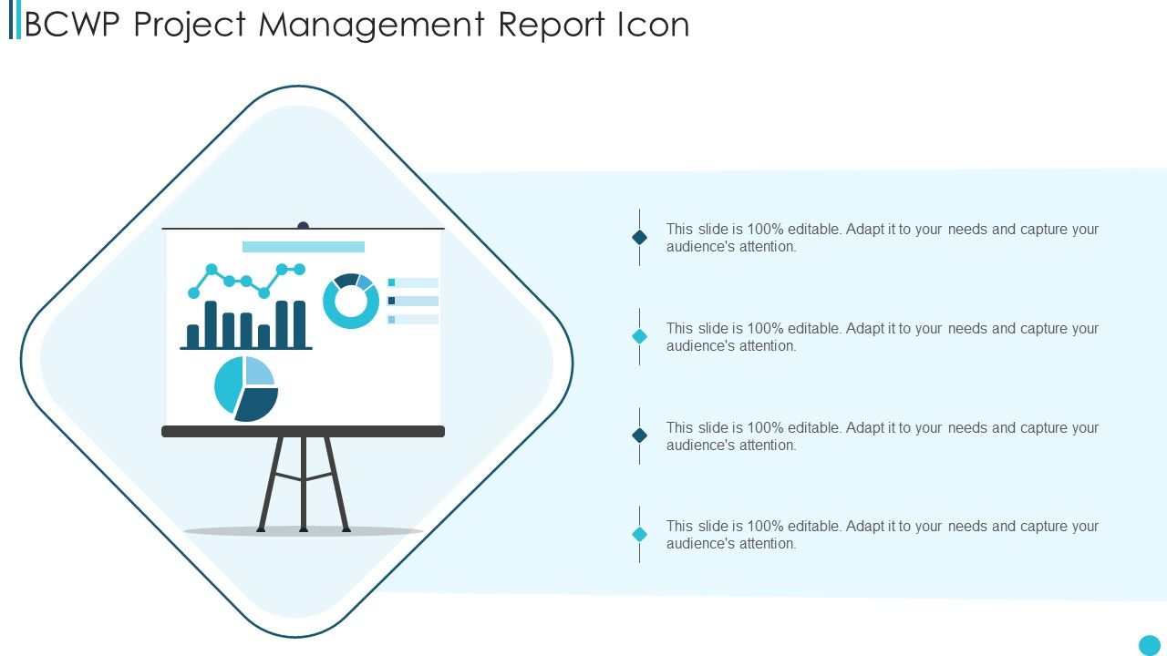 BCWP_Project_Management_Report_Icon_Brochure_PDF_Slide_1.jpg