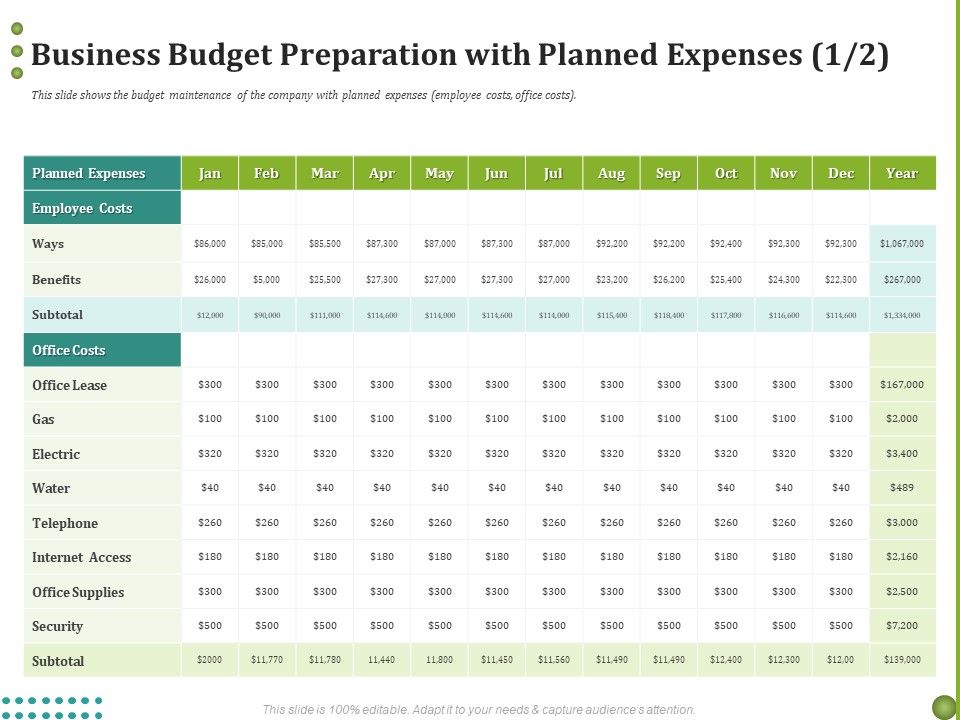 BPO_Managing_Enterprise_Financial_Transactions_Business_Budget_Preparation_With_Planned_Expenses_Wages_Microsoft_PDF_Slide_1.jpg