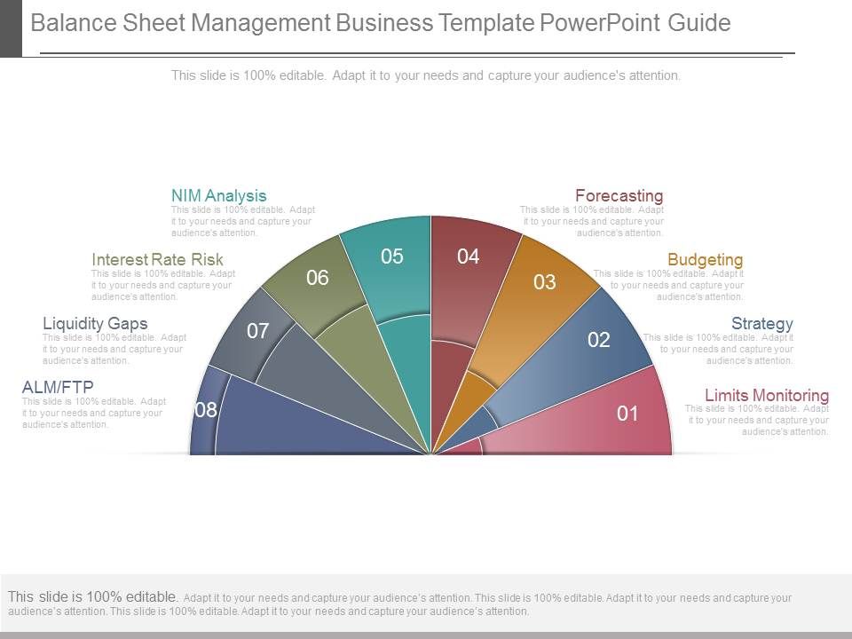 Balance_Sheet_Management_Business_Template_Powerpoint_Guide_1.jpg