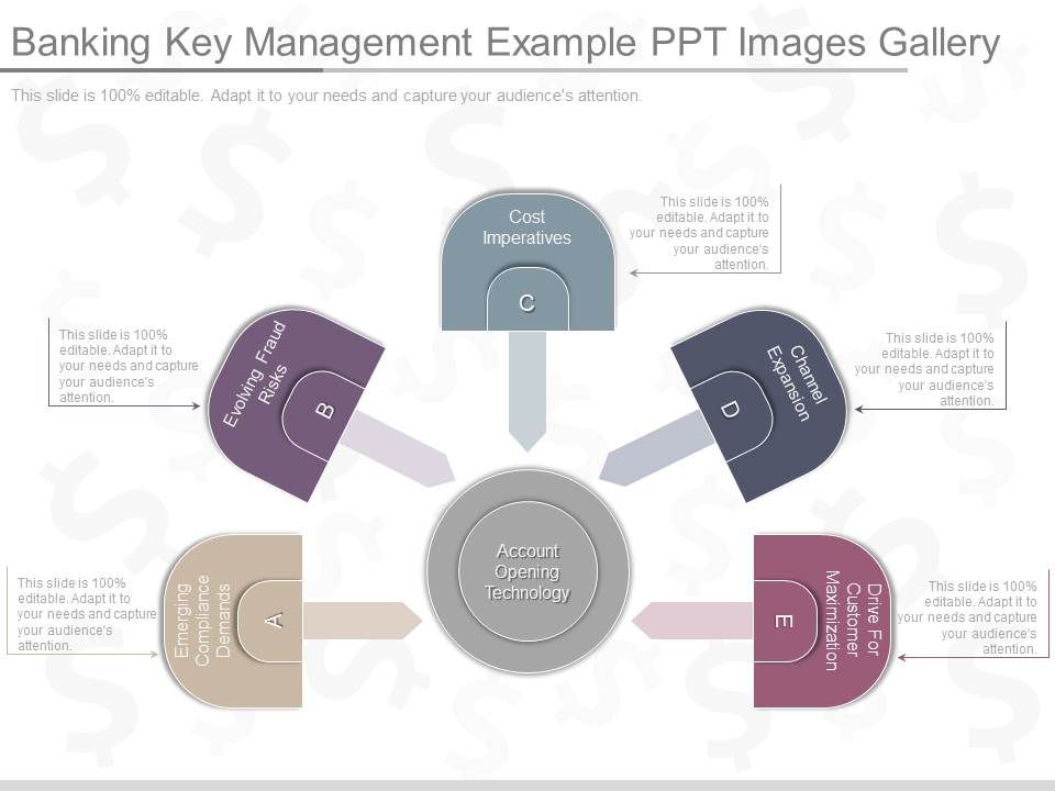 Banking_Key_Management_Example_Ppt_Images_Gallery_1.jpg