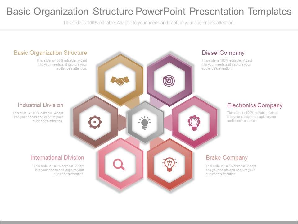 Basic_Organization_Structure_Powerpoint_Presentation_Templates_1.jpg