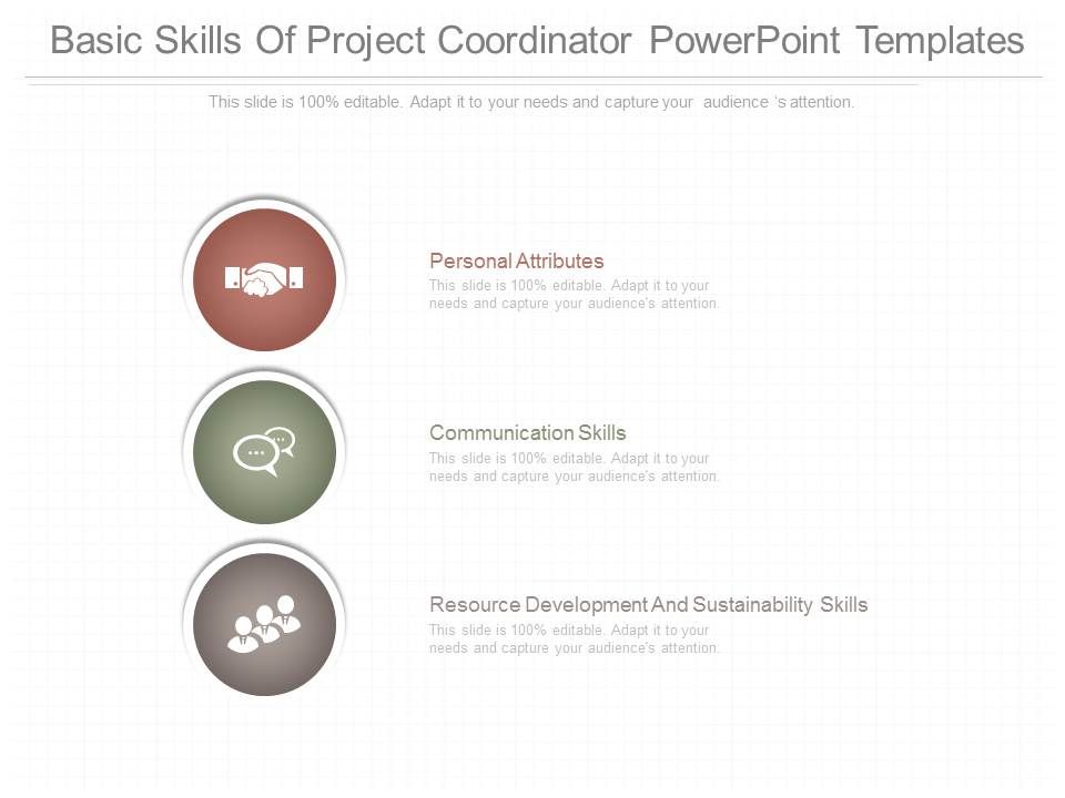 Basic_Skills_Of_Project_Coordinator_Powerpoint_Templates_1.jpg