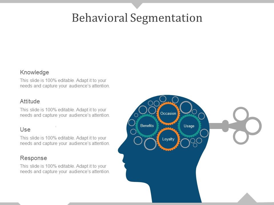 Behavioral_Segmentation_Template_1_Ppt_PowerPoint_Presentation_Pictures_Example_Slide_1.jpg