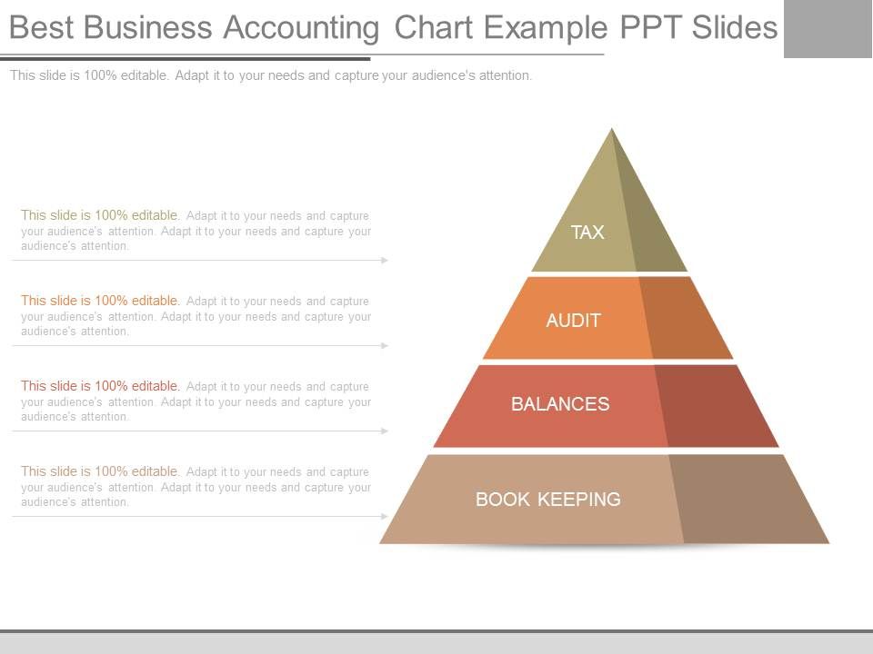 Best_Business_Accounting_Chart_Example_Ppt_Slides_1.jpg