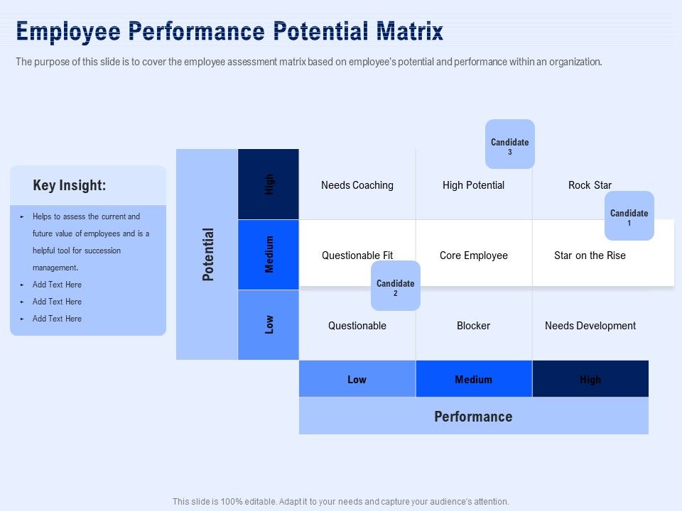 Best_Employee_Appreciation_Workplace_Employee_Performance_Potential_Matrix_Brochure_PDF_Slide_1.jpg