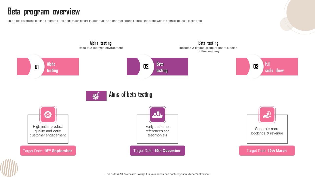 Beta_Program_Overview_Ppt_Portfolio_Good_PDF_Slide_1.jpg