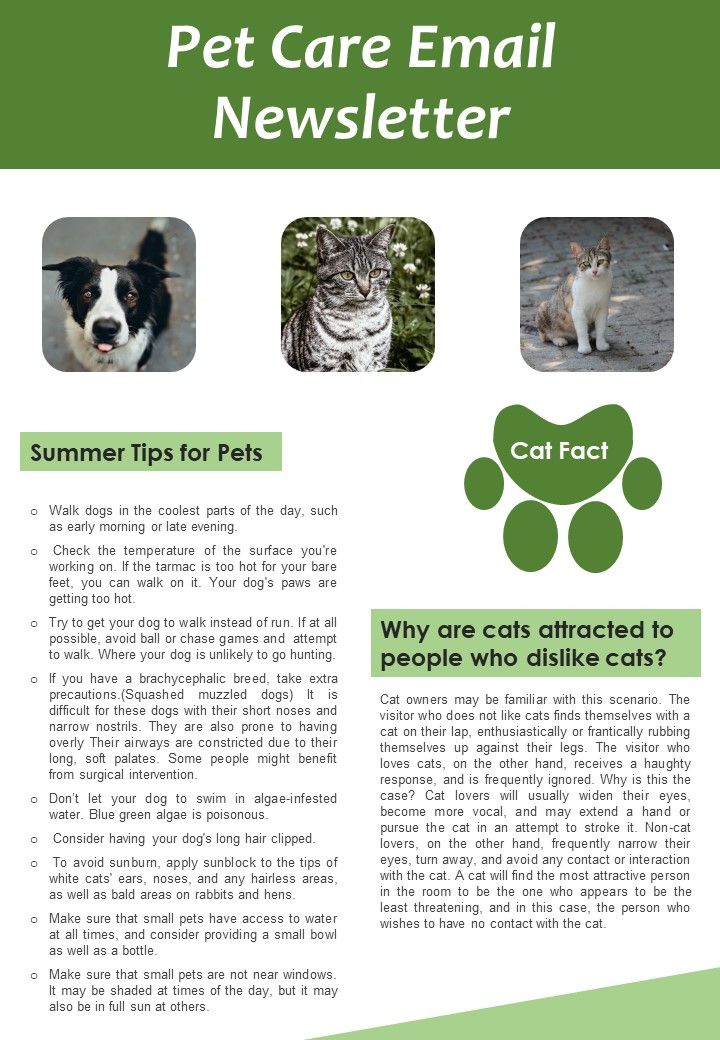 Bifold_One_Pager_Pet_Care_Email_Newsletter_Template_Slide_1.jpg
