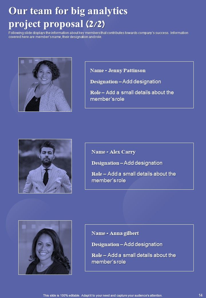 Big Analytics Project Proposal Example Document Report Doc Pdf Ppt
