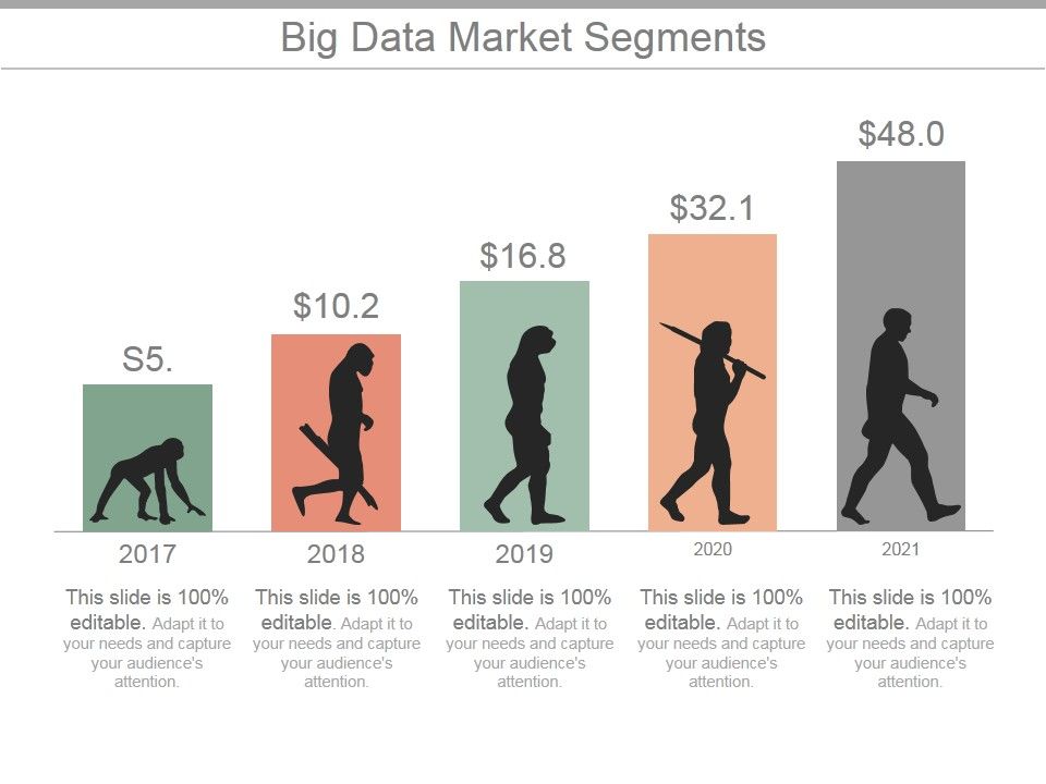 Big_Data_Market_Segments_Ppt_PowerPoint_Presentation_Backgrounds_Slide_1.jpg
