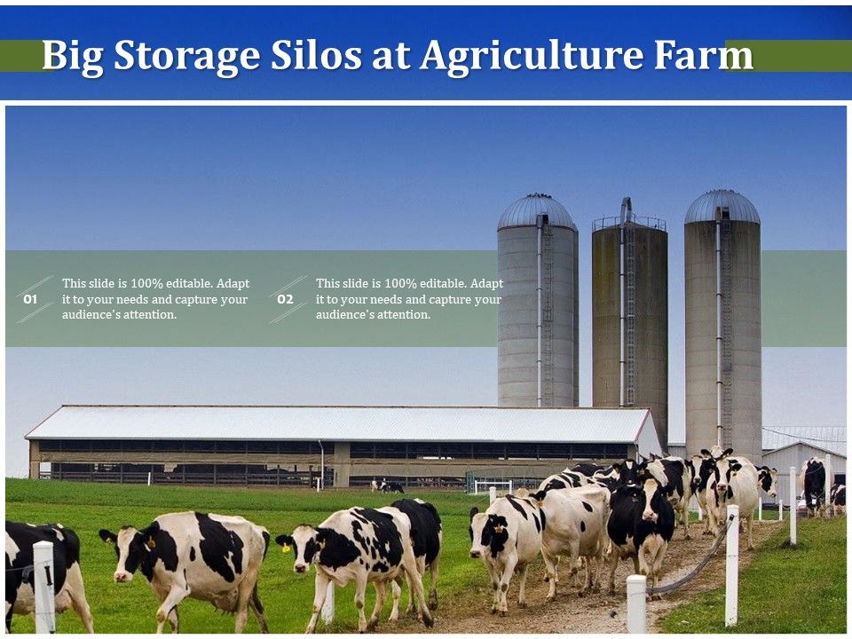 Big_Storage_Silos_At_Agriculture_Farm_Ppt_PowerPoint_Presentation_File_Icons_PDF_Slide_1.jpg
