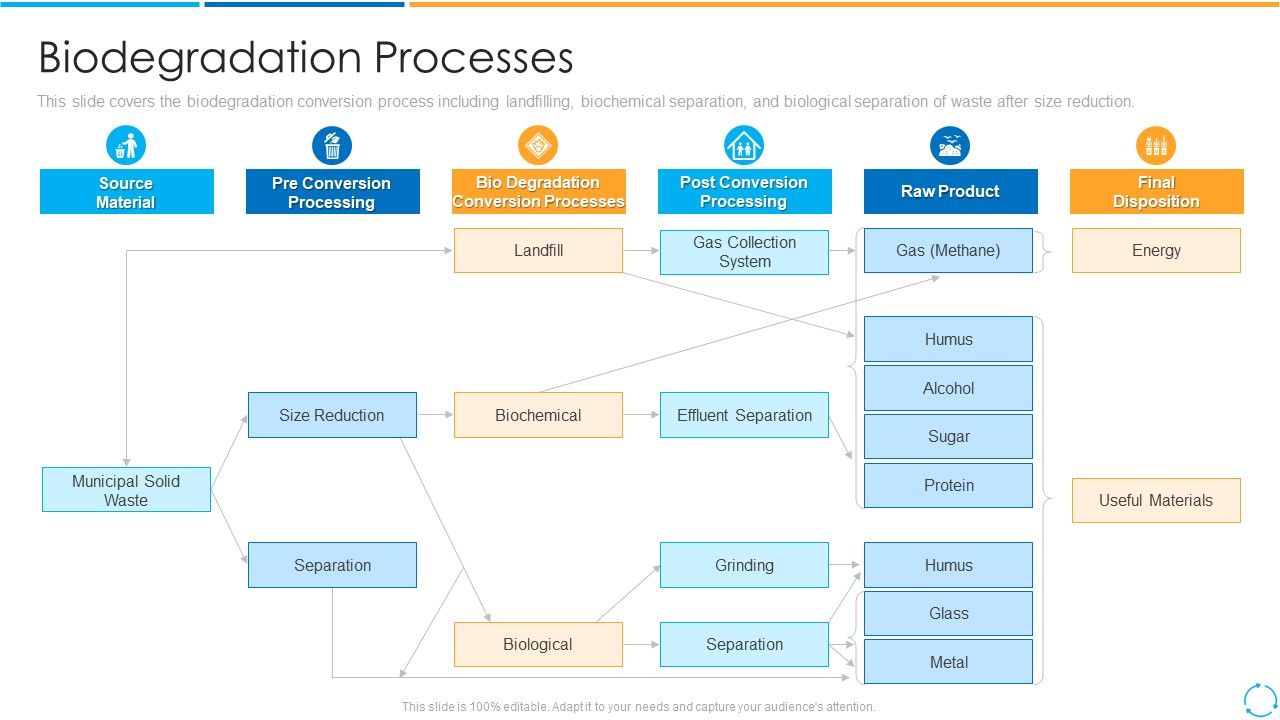 Biodegradation_Processes_Ppt_PowerPoint_Presentation_Gallery_Good_PDF_Slide_1.jpg
