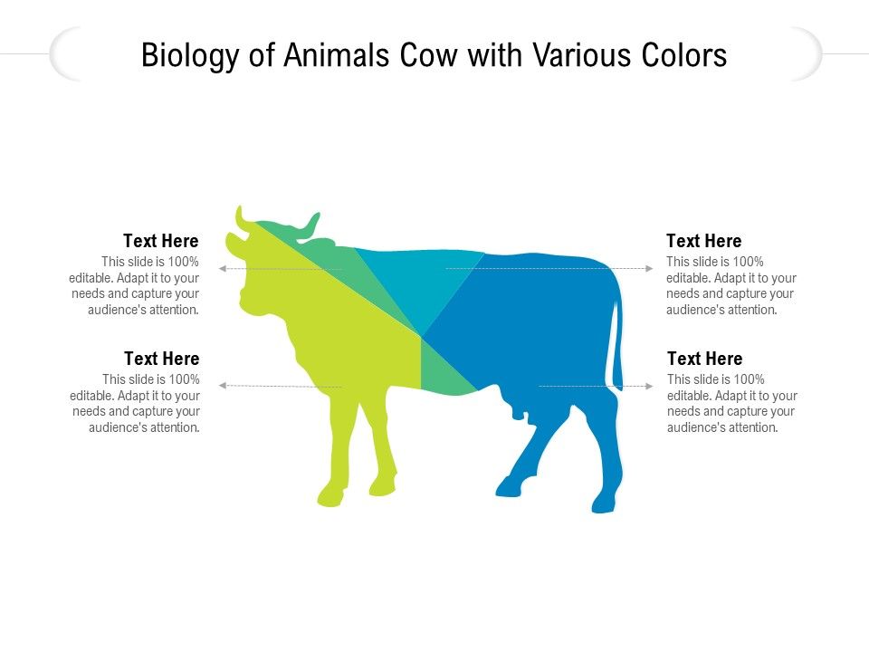 Biology_Of_Animals_Cow_With_Various_Colors_Ppt_PowerPoint_Presentation_Gallery_Visual_Aids_PDF_Slide_1.jpg