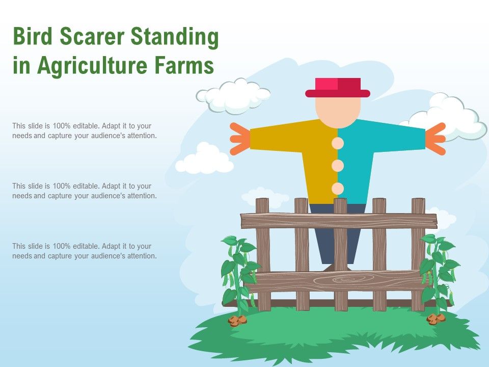Bird_Scarer_Standing_In_Agriculture_Farms_Ppt_PowerPoint_Presentation_Show_Backgrounds_PDF_Slide_1.jpg