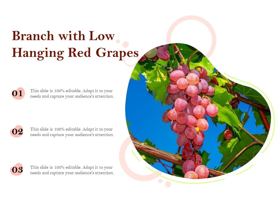 Branch_With_Low_Hanging_Red_Grapes_Ppt_PowerPoint_Presentation_Gallery_Smartart_PDF_Slide_1.jpg