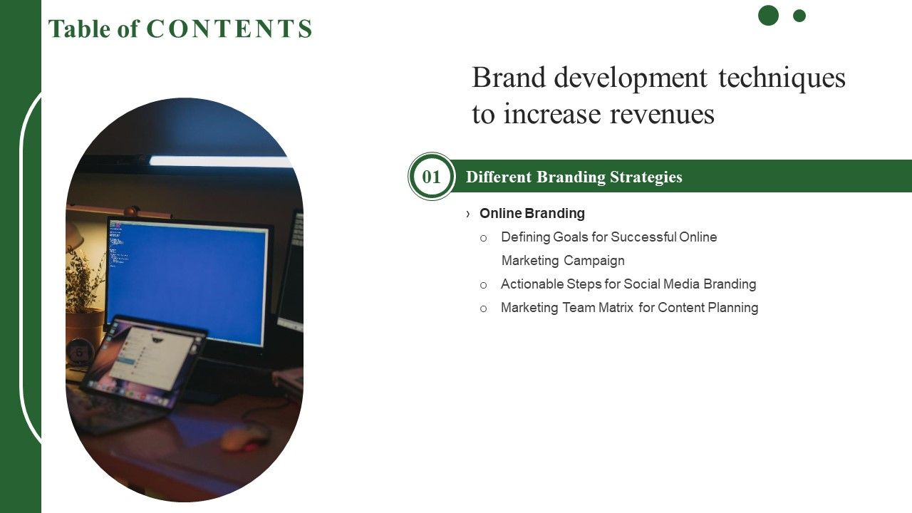 Brand_Development_Techniques_To_Increase_Revenues_Table_Of_Contents_Demonstration_PDF_Slide_1.jpg