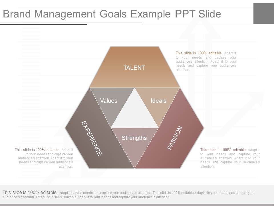 Brand_Management_Goals_Example_Ppt_Slide_1.jpg