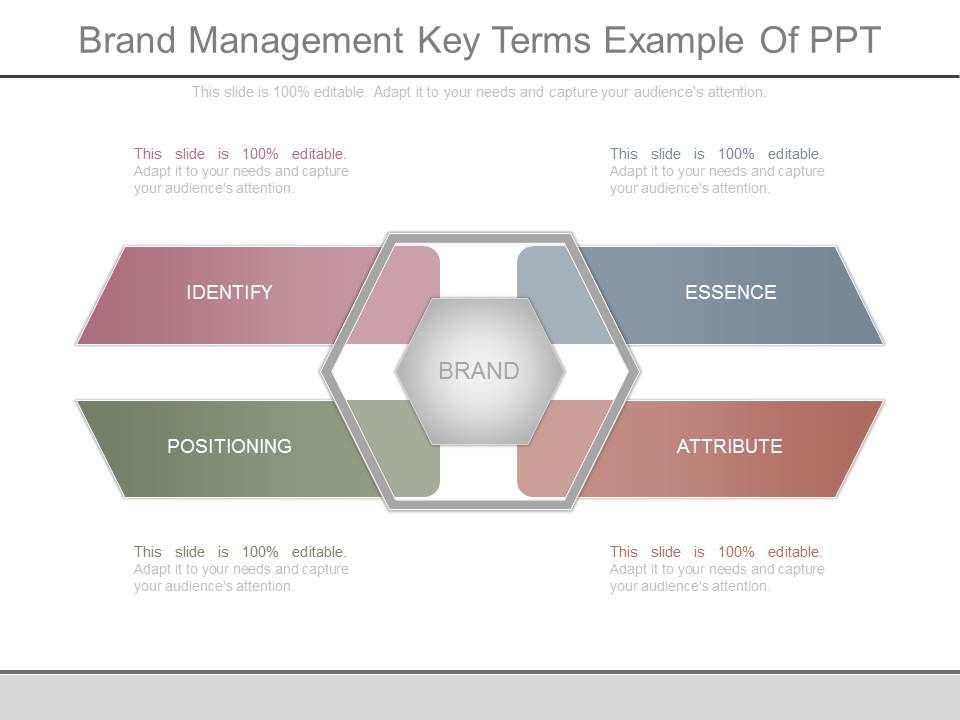 Brand_Management_Key_Terms_Example_Of_Ppt_1.jpg