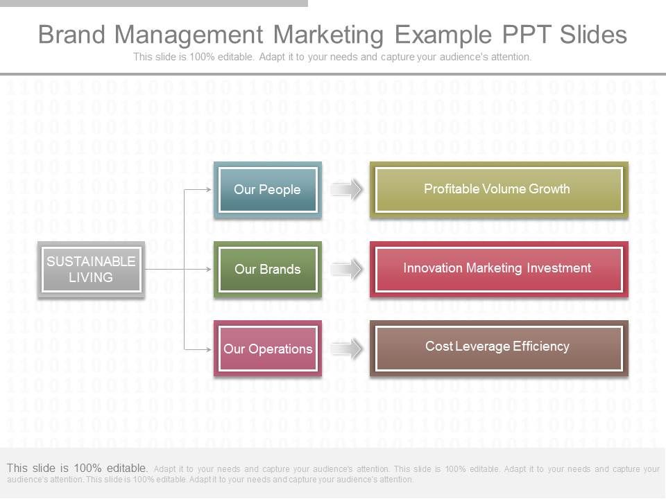 Brand_Management_Marketing_Example_Ppt_Slides_1.jpg