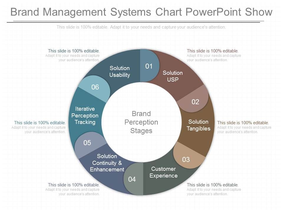 Brand_Management_Systems_Chart_Powerpoint_Show_1.jpg