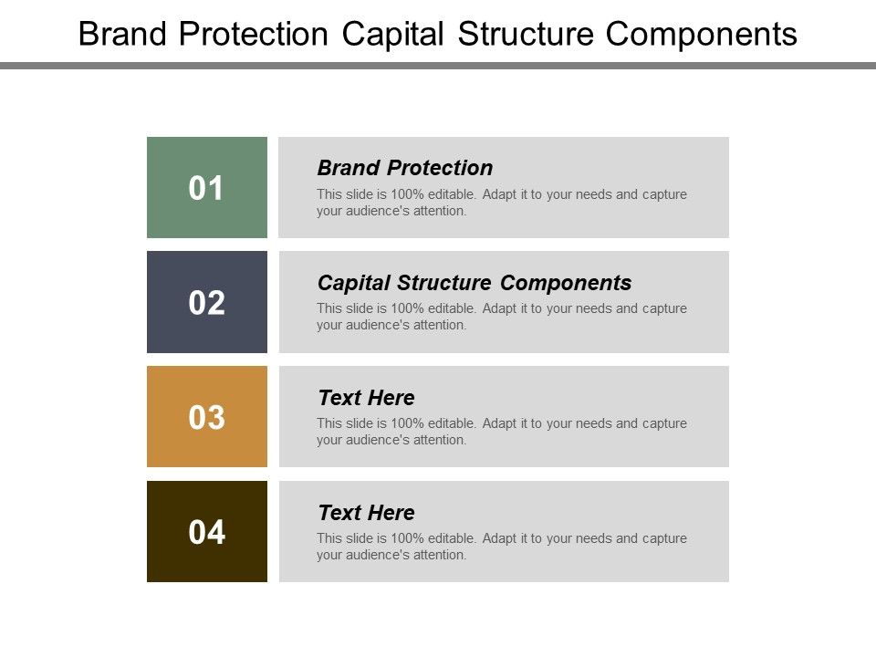 Brand_Protection_Capital_Structure_Components_Ppt_PowerPoint_Presentation_Infographic_Template_Visual_Aids_Slide_1.jpg