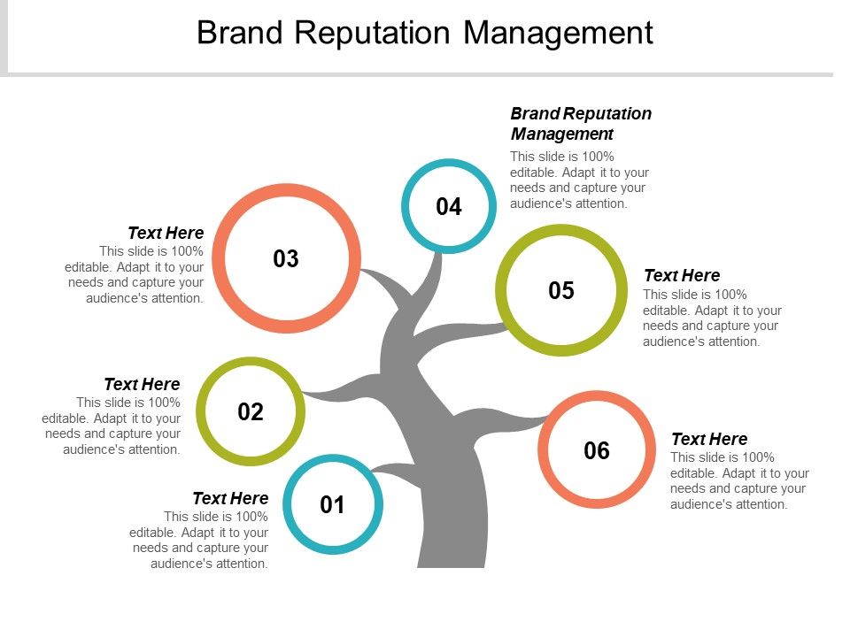 Brand_Reputation_Management_Ppt_PowerPoint_Presentation_Professional_Gridlines_Cpb_Slide_1.jpg