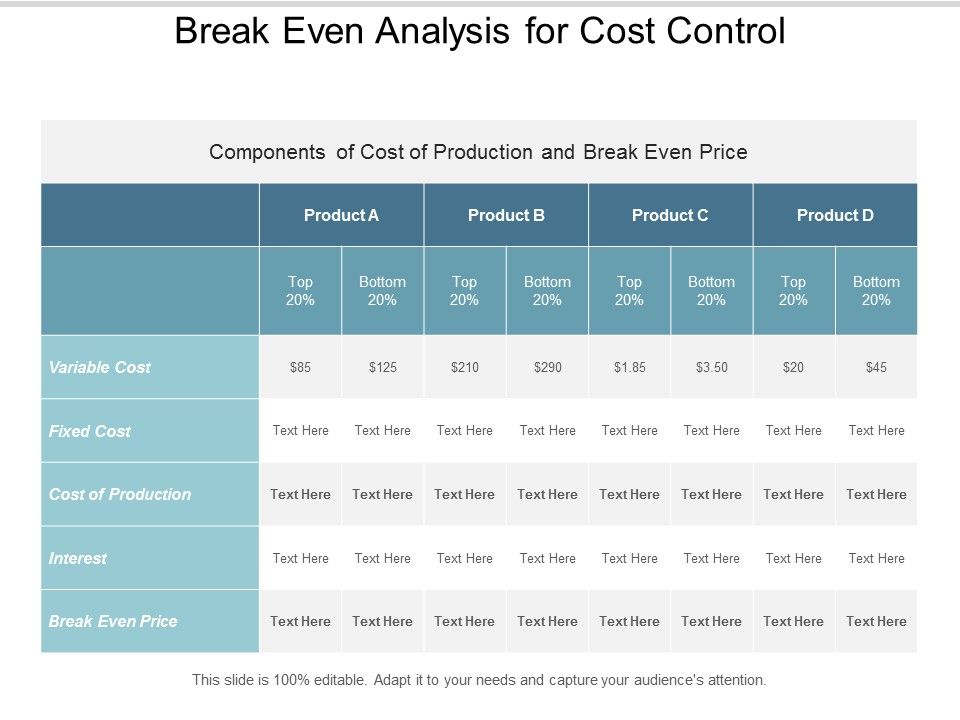 Break_Even_Analysis_For_Cost_Control_Ppt_PowerPoint_Presentation_Summary_Slide_1.jpg