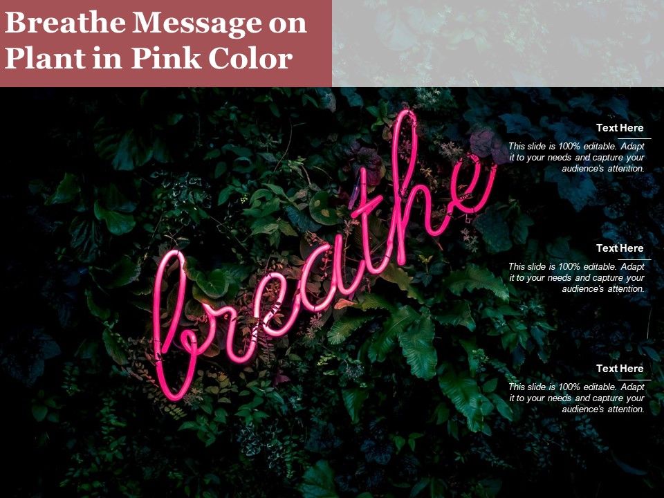 Breathe_Message_On_Plant_In_Pink_Color_Ppt_PowerPoint_Presentation_Styles_Influencers_PDF_Slide_1.jpg