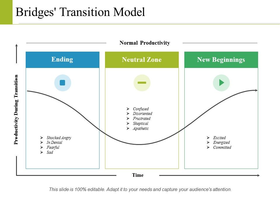 Bridges_Transition_Model_Ppt_PowerPoint_Presentation_Layouts_Aids_Slide_1.jpg