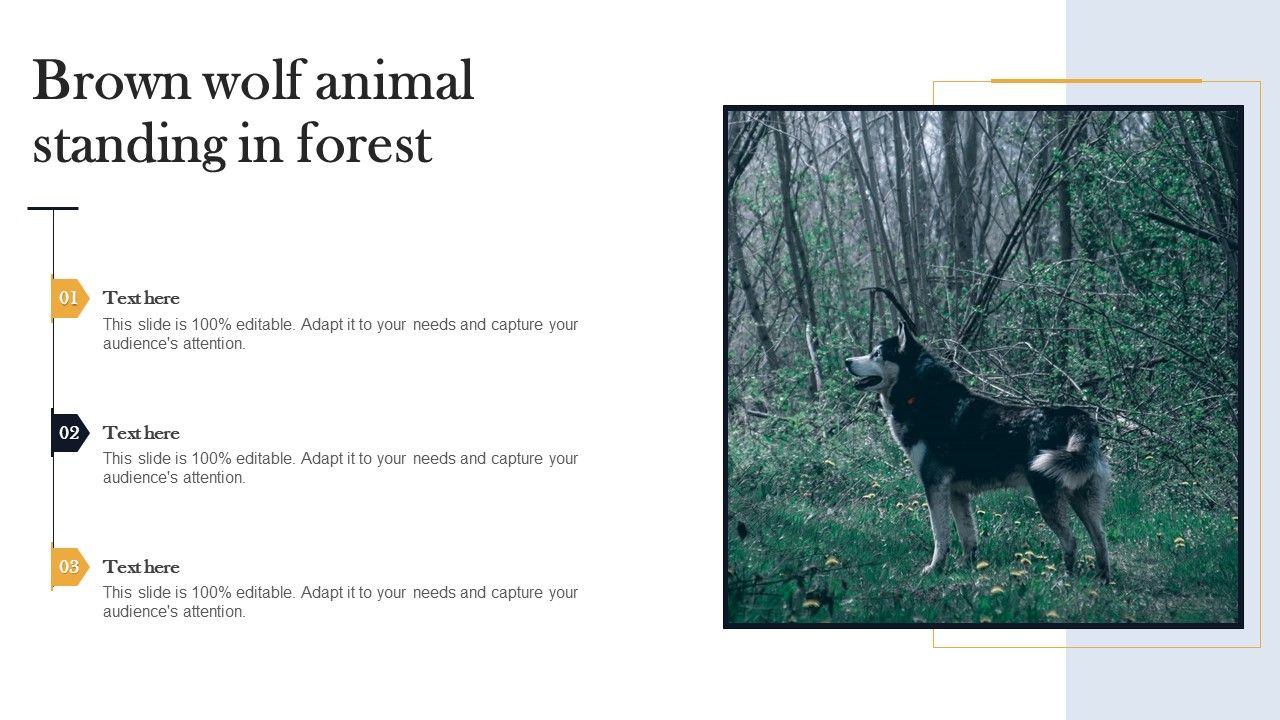 Brown_Wolf_Animal_Standing_In_Forest_Formats_PDF_Slide_1.jpg