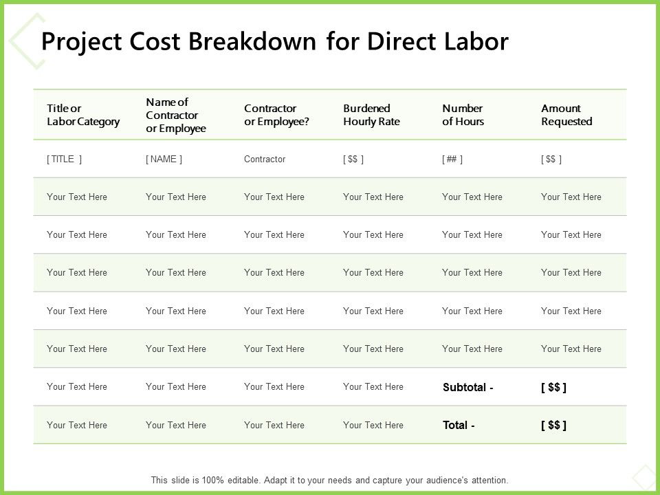 Budget_Cost_Project_Plan_Project_Cost_Breakdown_For_Direct_Labor_Formats_PDF_Slide_1.jpg