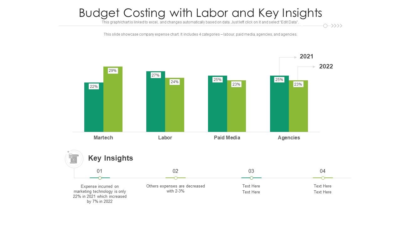 Budget_Costing_With_Labor_And_Key_Insights_Ppt_PowerPoint_Presentation_Styles_Backgrounds_PDF_Slide_1.jpg