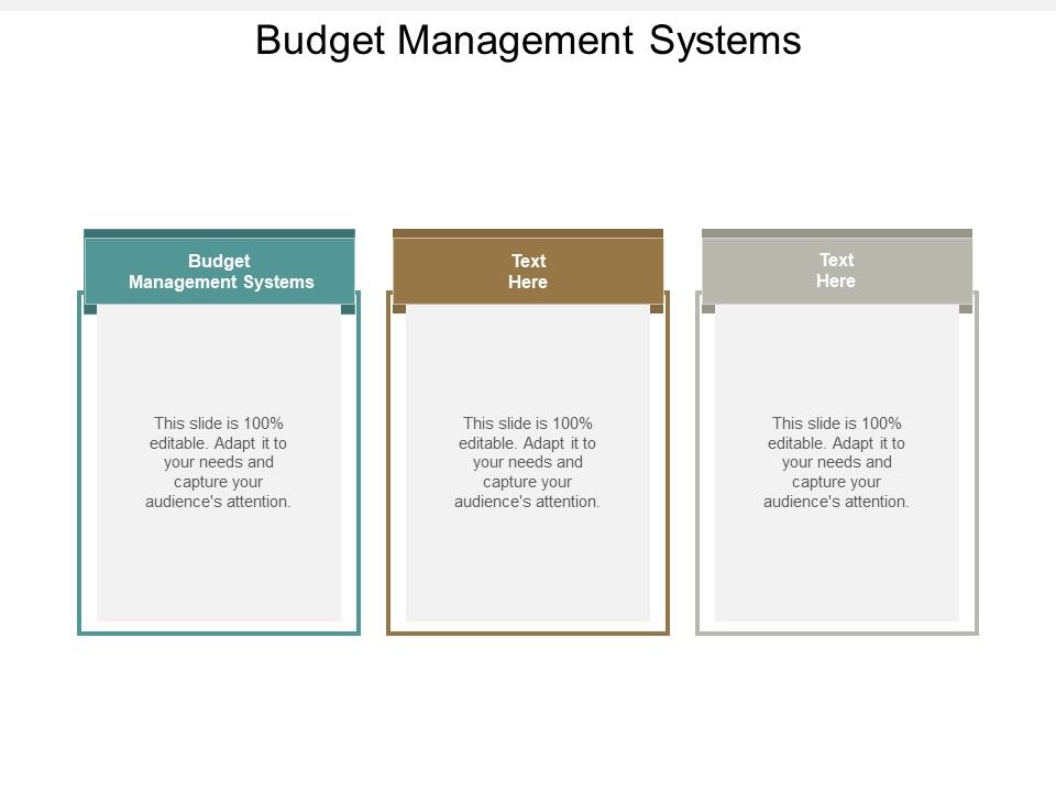 Budget_Management_Systems_Ppt_PowerPoint_Presentation_Professional_Guide_Cpb_Slide_1.jpg