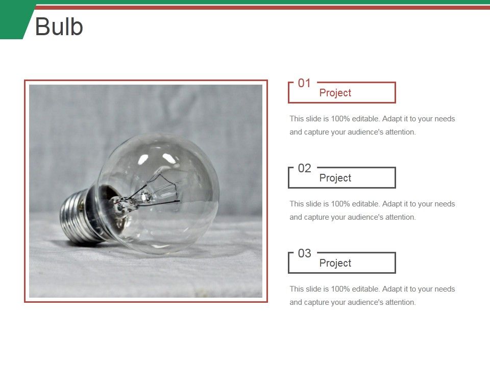 Bulb_Ppt_PowerPoint_Presentation_Professional_Guidelines_Slide_1.jpg