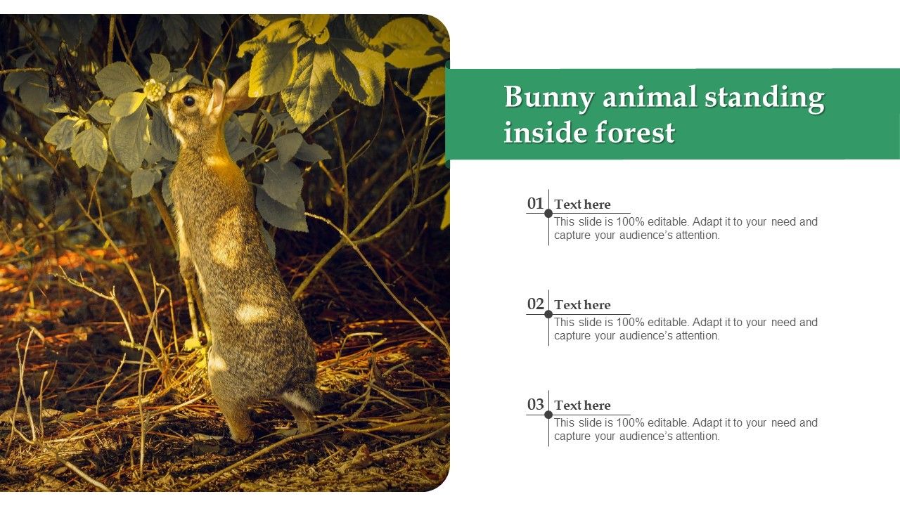 Bunny_Animal_Standing_Inside_Forest_Graphics_PDF_Slide_1.jpg