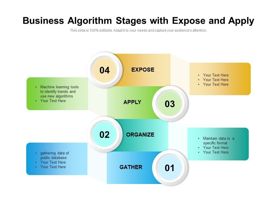 Business_Algorithm_Stages_With_Expose_And_Apply_Ppt_PowerPoint_Presentation_File_Picture_PDF_Slide_1.jpg