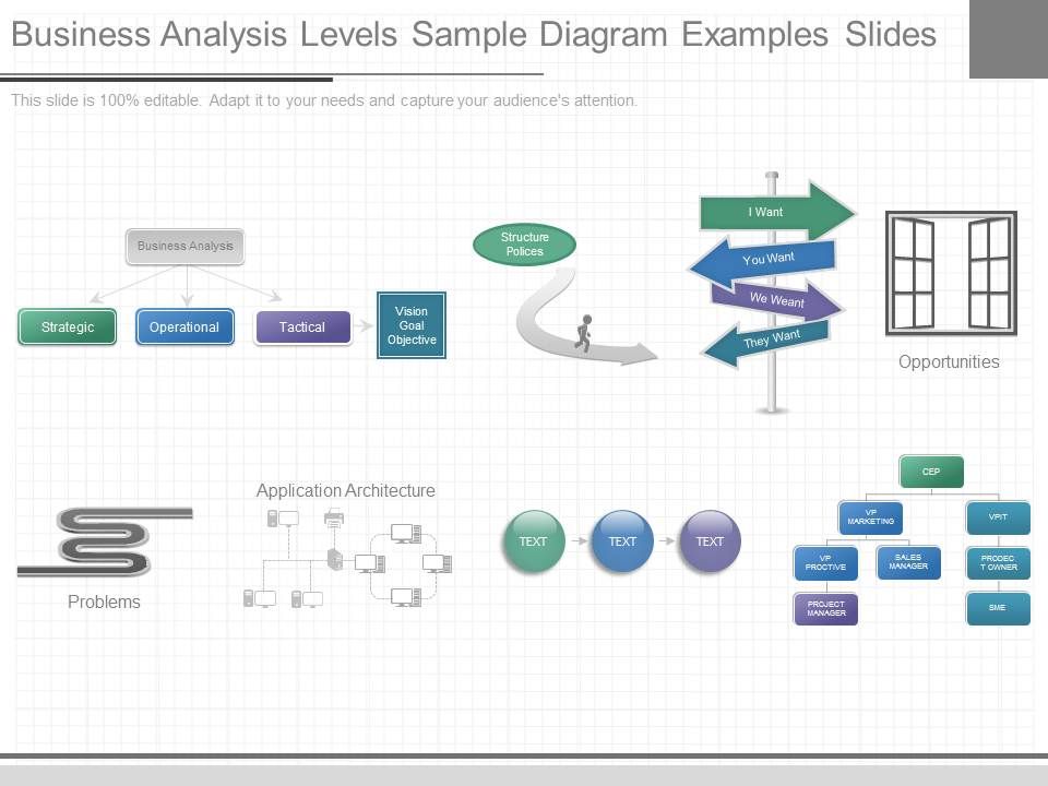 Business_Analysis_Levels_Sample_Diagram_Examples_Slides_1.jpg