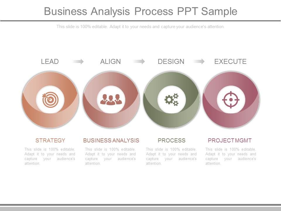 Business_Analysis_Process_Ppt_Sample_1.jpg