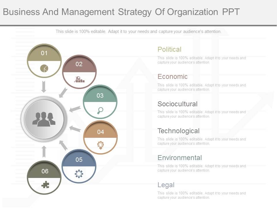 Business_And_Management_Strategy_Of_Organization_Ppt_1.jpg