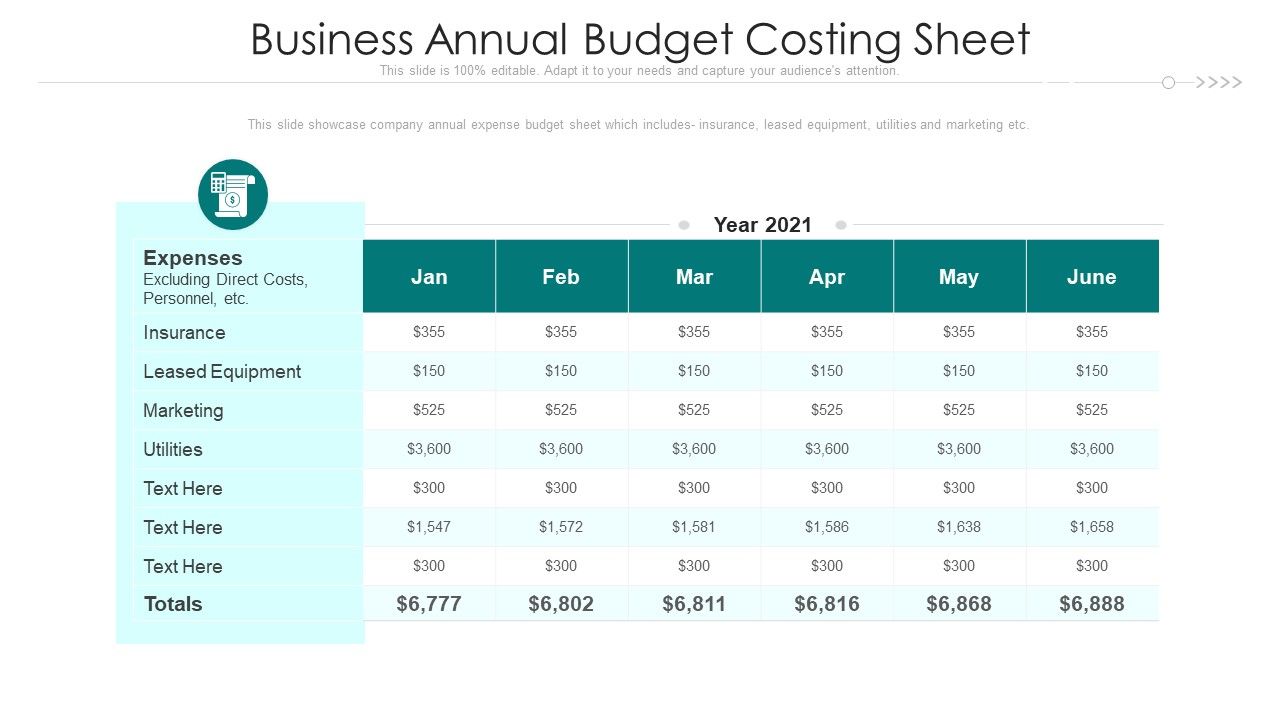 Business_Annual_Budget_Costing_Sheet_Ppt_PowerPoint_Presentation_Outline_Structure_PDF_Slide_1.jpg