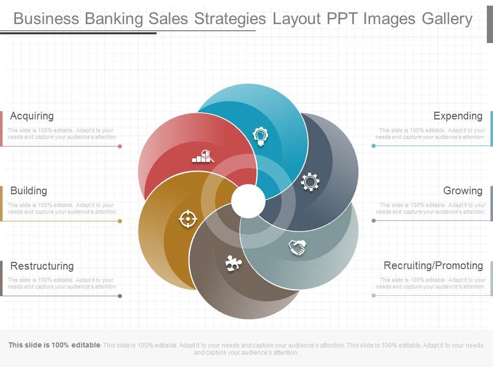 Business_Banking_Sales_Strategies_Layout_Ppt_Images_Gallery_1.jpg